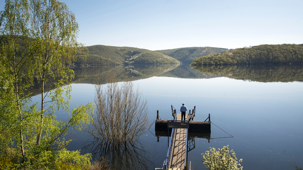 Nationalpark Eifel