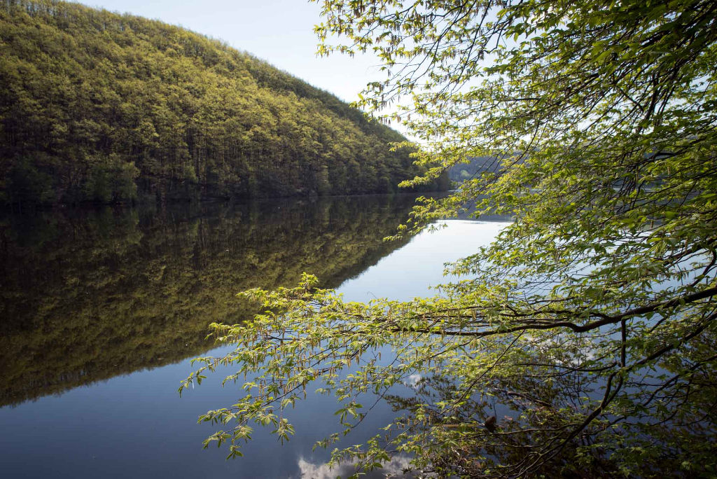 Nationalpark Eifel